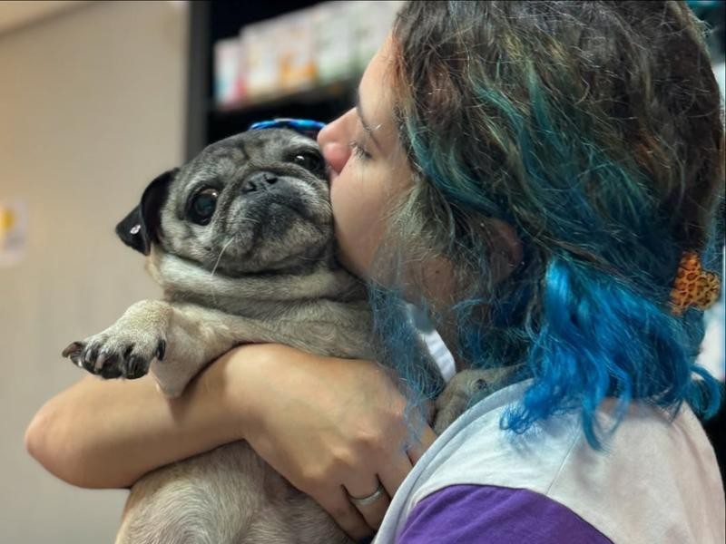 Como Identificar Sinais de Doenças Comuns em Pets e Quando Procurar um Veterinário