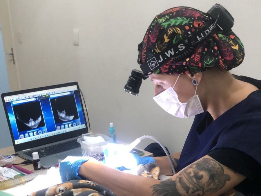 Periodontia Veterinária