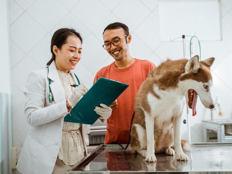 Ortopedia Veterinária